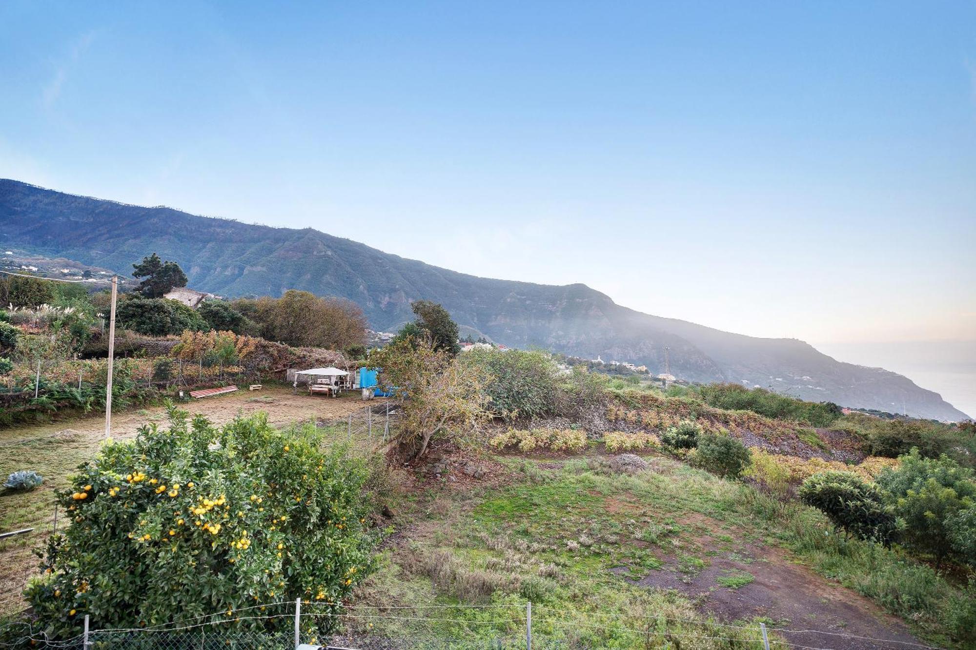 Casita Rural La Pinera Villa Los Realejos Exterior photo